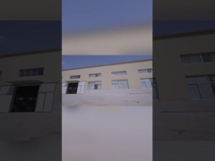 चेल्सी सुरक्षा जूते