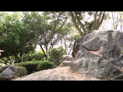 सामरिक सुरक्षा जूते